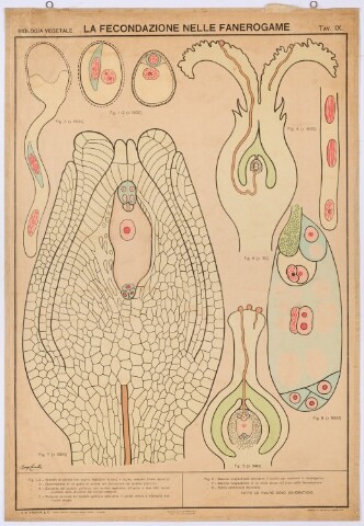 Anteprima dell'oggetto