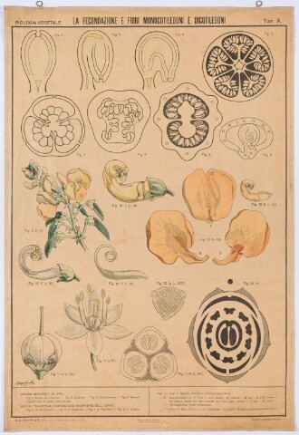 Anteprima dell'oggetto