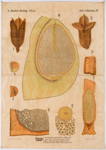 Anteprima dell'oggetto