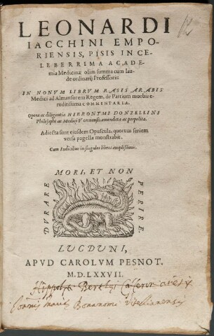 Anteprima dell'oggetto