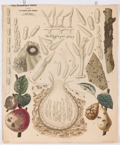 Anteprima dell'oggetto