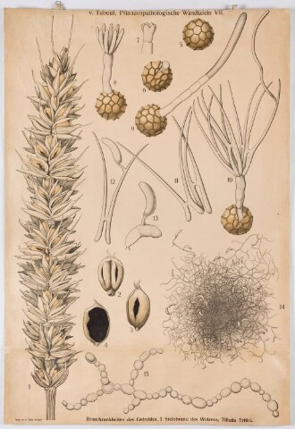 Anteprima dell'oggetto