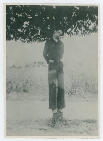 Anteprima dell'oggetto