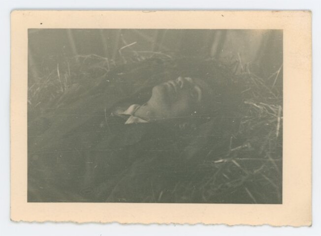 Anteprima dell'oggetto