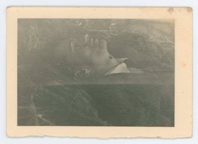 Anteprima dell'oggetto