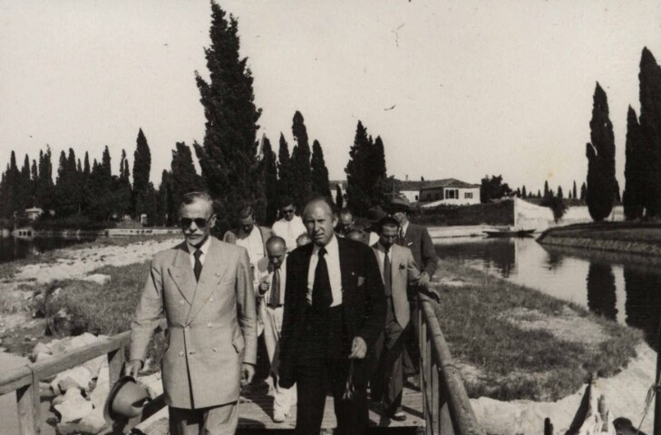 Anteprima dell'oggetto