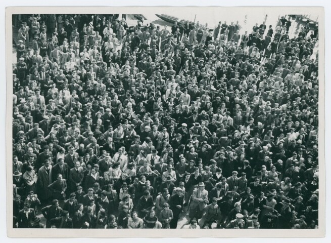 Anteprima dell'oggetto