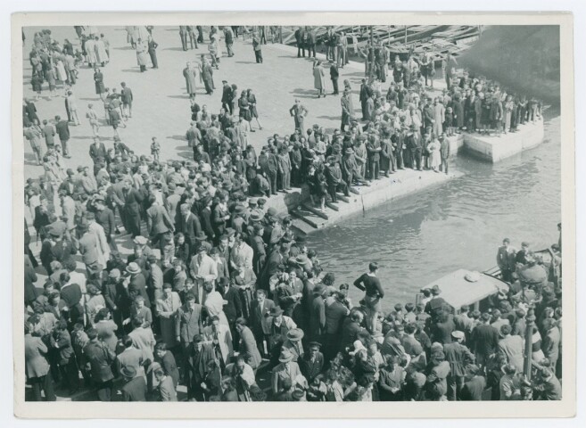 Anteprima dell'oggetto