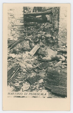 Anteprima dell'oggetto