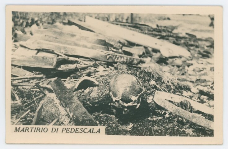 Anteprima dell'oggetto