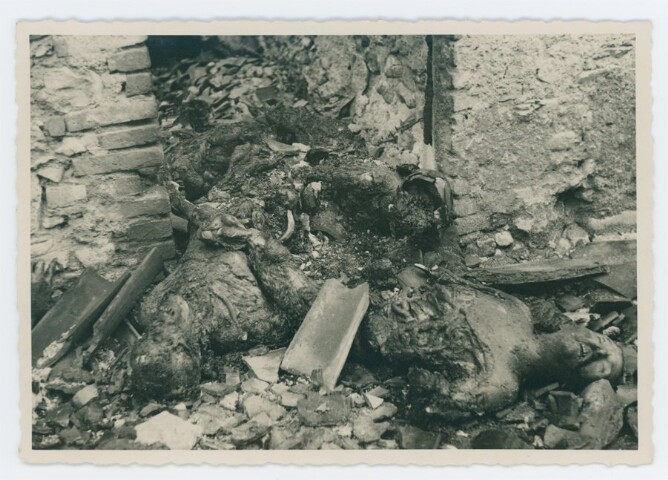 Anteprima dell'oggetto