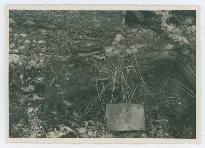 Anteprima dell'oggetto