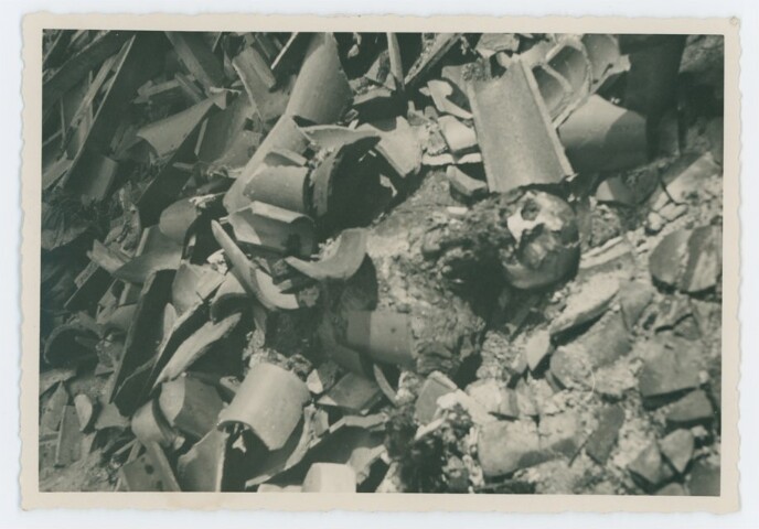 Anteprima dell'oggetto