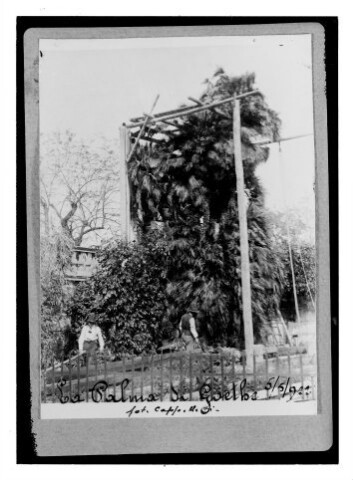 Anteprima dell'oggetto