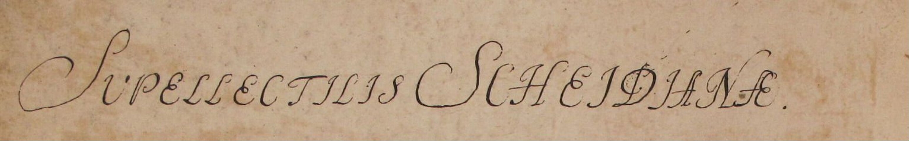 Anteprima dell'oggetto