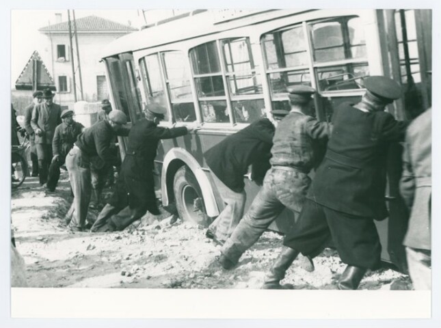 Anteprima dell'oggetto