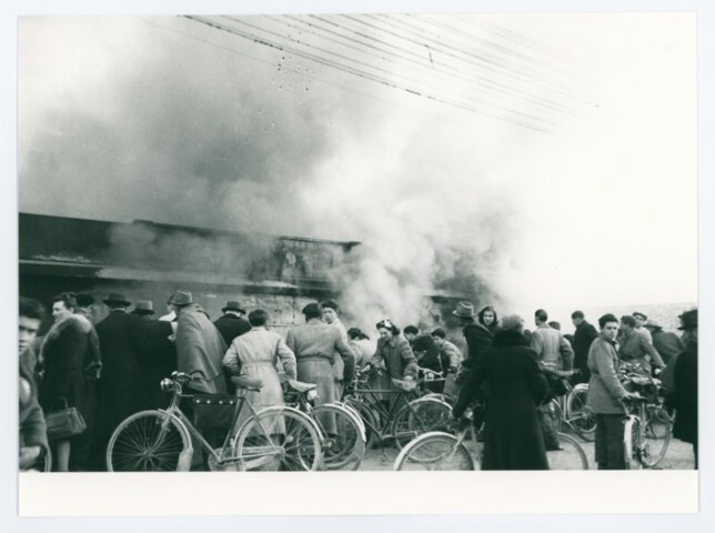 Anteprima dell'oggetto