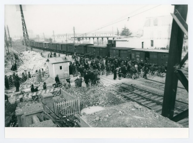 Anteprima dell'oggetto