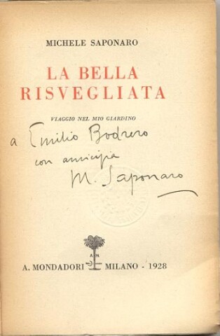 Anteprima dell'oggetto