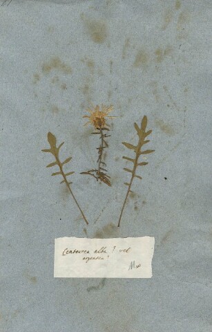 Anteprima dell'oggetto