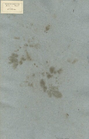 Anteprima dell'oggetto