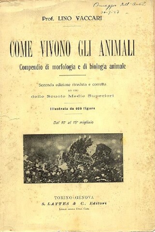 Anteprima dell'oggetto