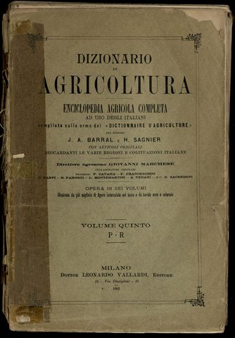 Anteprima dell'oggetto