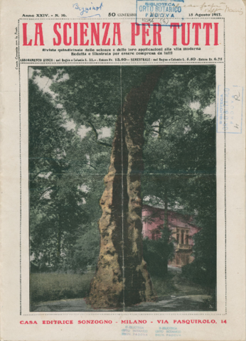 Anteprima dell'oggetto