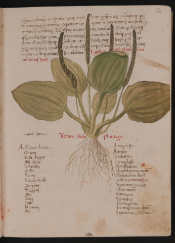 Anteprima dell'oggetto