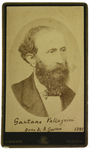 Gaetano Pellegrini - recto