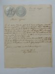 Lettera da Althammer a Visiani (16 maggio 1861)
