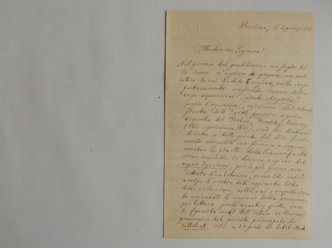 Anteprima dell'oggetto