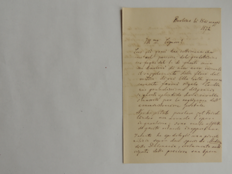 Anteprima dell'oggetto