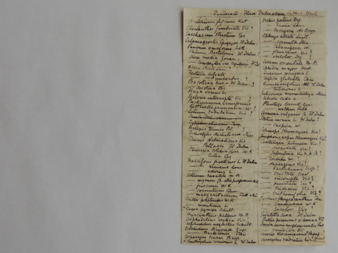 Anteprima dell'oggetto