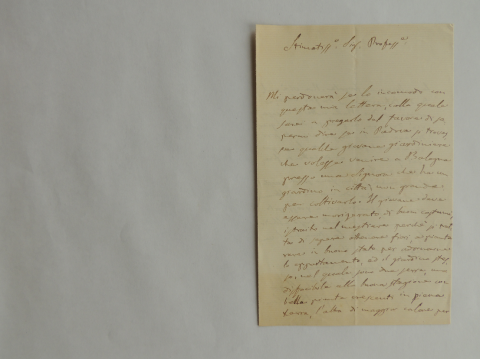 Anteprima dell'oggetto