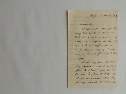 Anteprima dell'oggetto