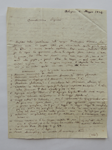 Anteprima dell'oggetto