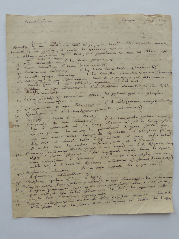 Anteprima dell'oggetto