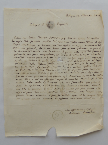 Anteprima dell'oggetto