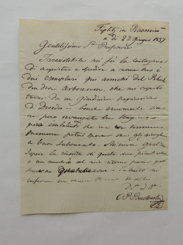 Anteprima dell'oggetto