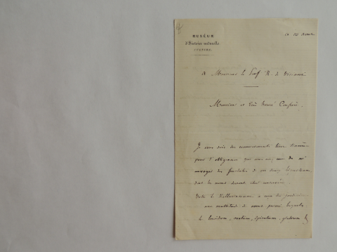 Anteprima dell'oggetto