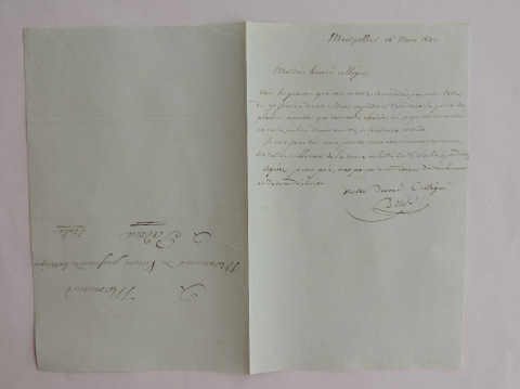 Anteprima dell'oggetto