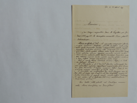 Anteprima dell'oggetto