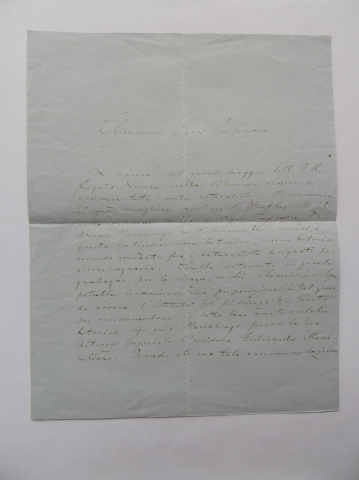 Anteprima dell'oggetto