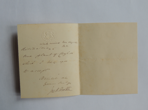 Anteprima dell'oggetto