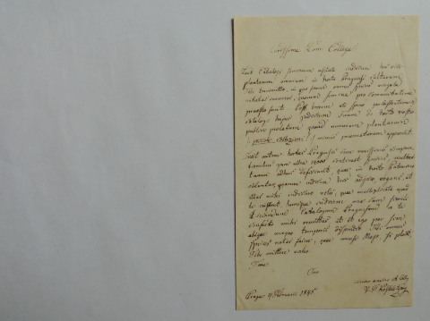 Anteprima dell'oggetto