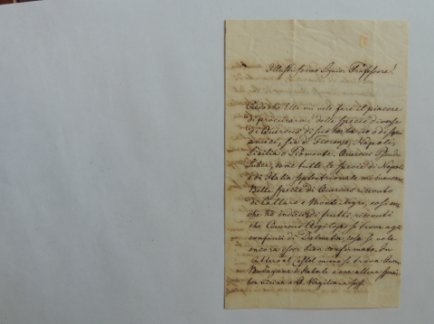 Anteprima dell'oggetto