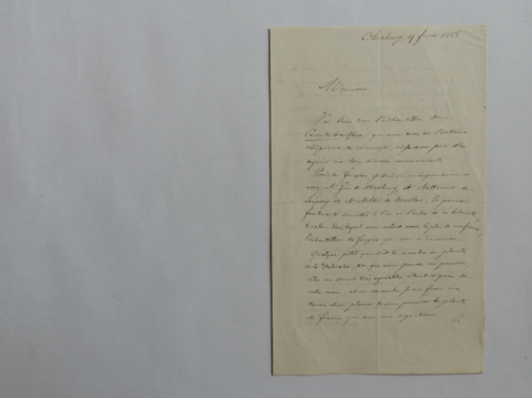 Anteprima dell'oggetto