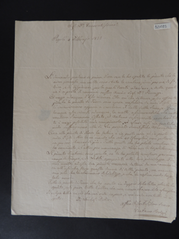 Anteprima dell'oggetto