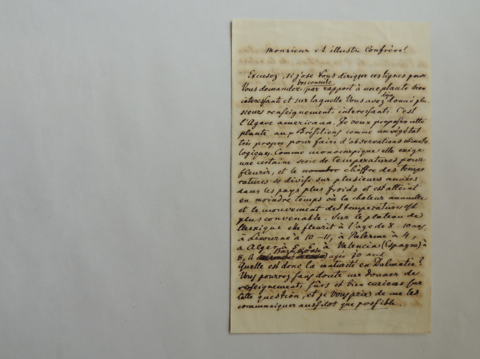 Anteprima dell'oggetto